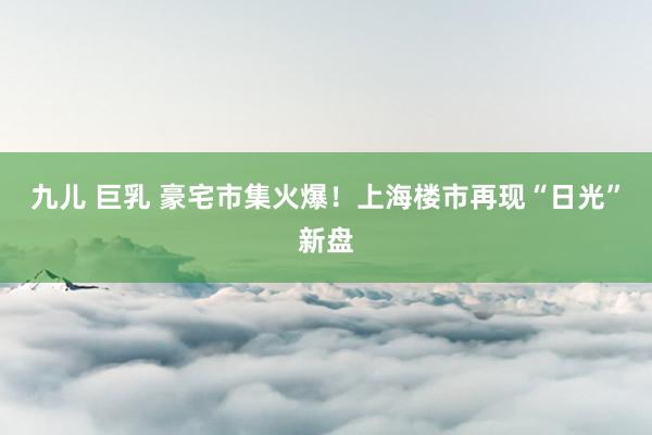 九儿 巨乳 豪宅市集火爆！上海楼市再现“日光”新盘