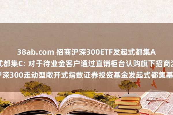 38ab.com 招商沪深300ETF发起式都集A,招商沪深300ETF发起式都集C: 对于待业金客户通过直销柜台认购旗下招商沪深300走动型敞开式指数证券投资基金发起式都集基金A类基金份额费率优惠的公告