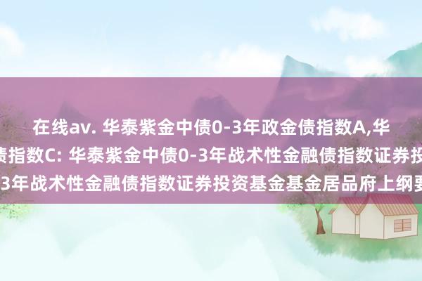 在线av. 华泰紫金中债0-3年政金债指数A,华泰紫金中债0-3年政金债指数C: 华泰紫金中债0-3年战术性金融债指数证券投资基金基金居品府上纲要