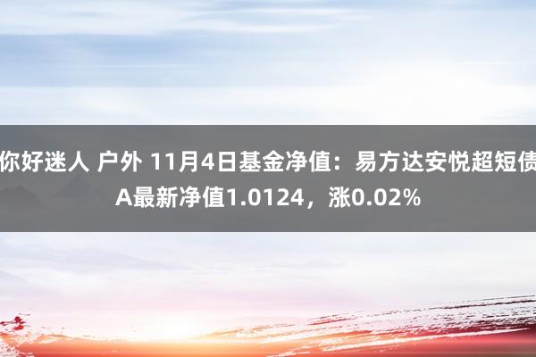 你好迷人 户外 11月4日基金净值：易方达安悦超短债A最新净值1.0124，涨0.02%