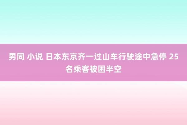 男同 小说 日本东京齐一过山车行驶途中急停 25名乘客被困半空