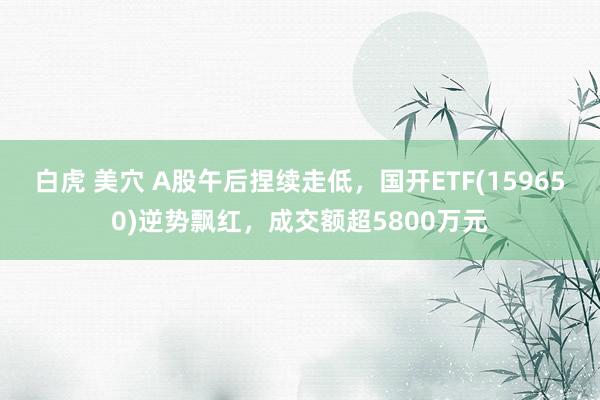 白虎 美穴 A股午后捏续走低，国开ETF(159650)逆势飘红，成交额超5800万元
