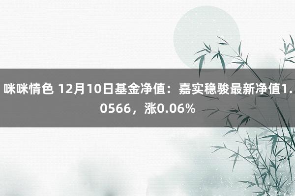 咪咪情色 12月10日基金净值：嘉实稳骏最新净值1.0566，涨0.06%