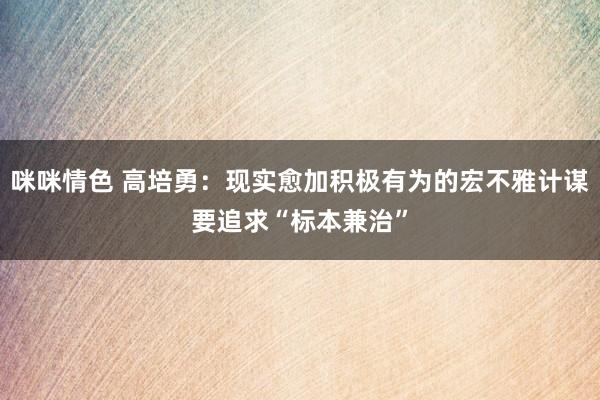 咪咪情色 高培勇：现实愈加积极有为的宏不雅计谋要追求“标本兼治”