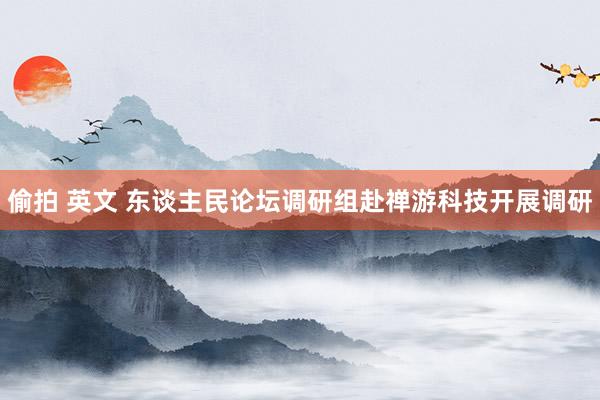 偷拍 英文 东谈主民论坛调研组赴禅游科技开展调研