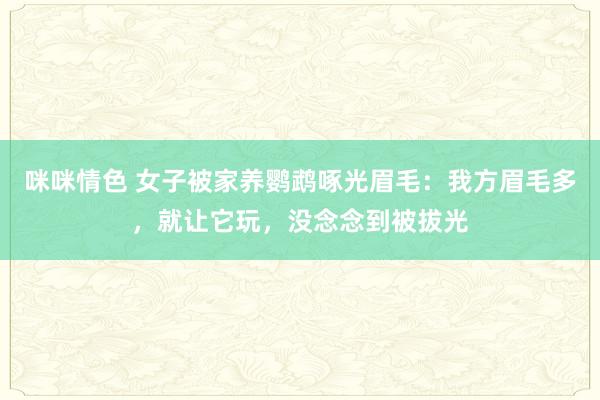 咪咪情色 女子被家养鹦鹉啄光眉毛：我方眉毛多，就让它玩，没念念到被拔光