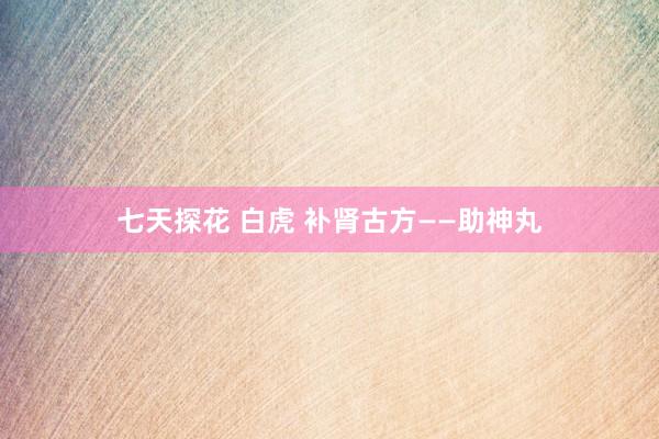 七天探花 白虎 补肾古方——助神丸
