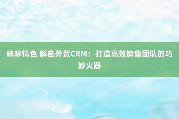 咪咪情色 解密外贸CRM：打造高效销售团队的巧妙火器