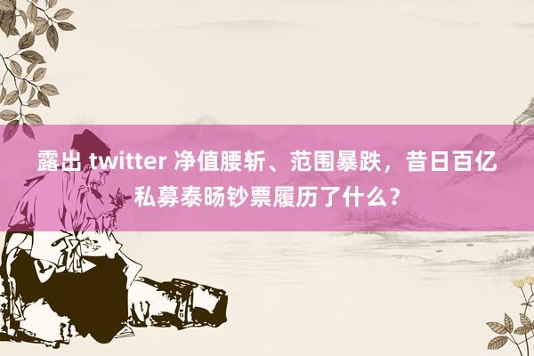 露出 twitter 净值腰斩、范围暴跌，昔日百亿私募泰旸钞票履历了什么？