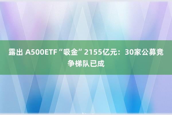 露出 A500ETF“吸金”2155亿元：30家公募竞争梯队已成