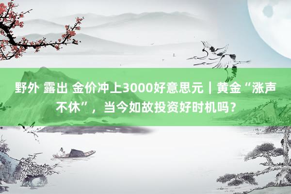 野外 露出 金价冲上3000好意思元｜黄金“涨声不休”，当今如故投资好时机吗？