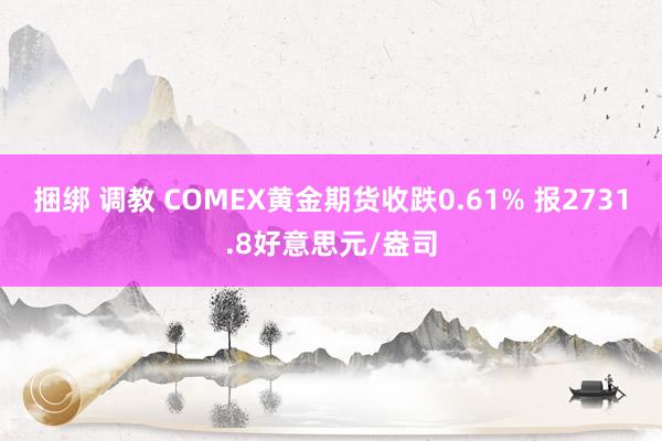 捆绑 调教 COMEX黄金期货收跌0.61% 报2731.8好意思元/盎司