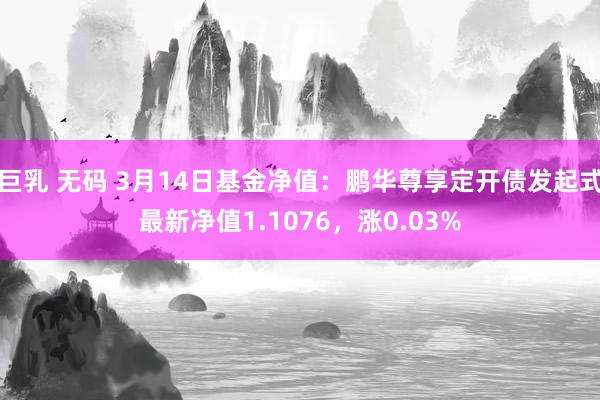 巨乳 无码 3月14日基金净值：鹏华尊享定开债发起式最新净值1.1076，涨0.03%