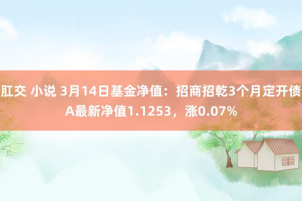 肛交 小说 3月14日基金净值：招商招乾3个月定开债A最新净值1.1253，涨0.07%