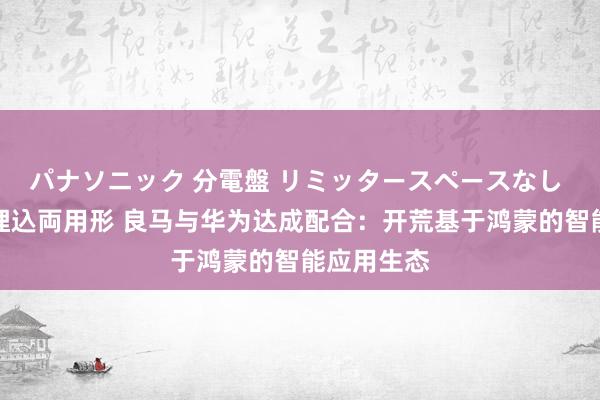 パナソニック 分電盤 リミッタースペースなし 露出・半埋込両用形 良马与华为达成配合：开荒基于鸿蒙的智能应用生态