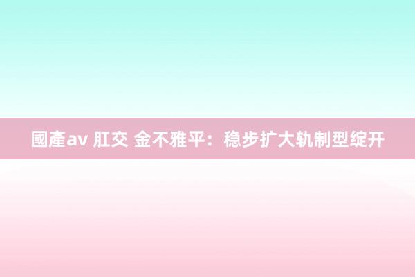 國產av 肛交 金不雅平：稳步扩大轨制型绽开