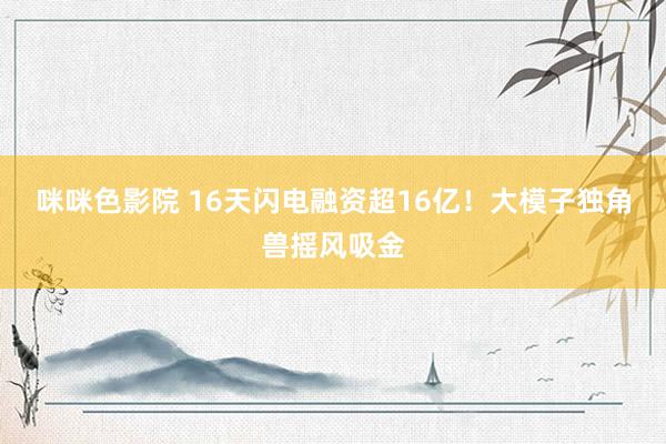 咪咪色影院 16天闪电融资超16亿！大模子独角兽摇风吸金