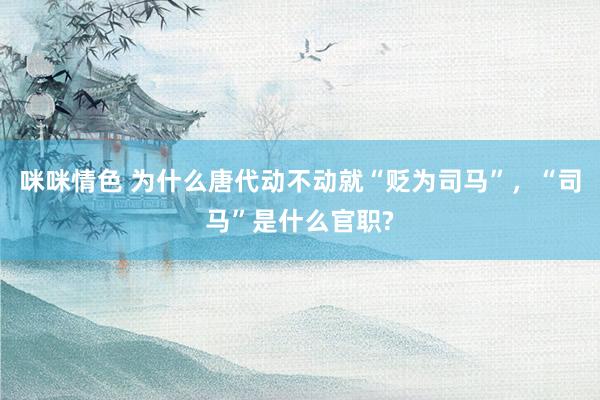咪咪情色 为什么唐代动不动就“贬为司马”，“司马”是什么官职?