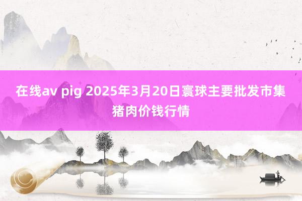 在线av pig 2025年3月20日寰球主要批发市集猪肉价钱行情