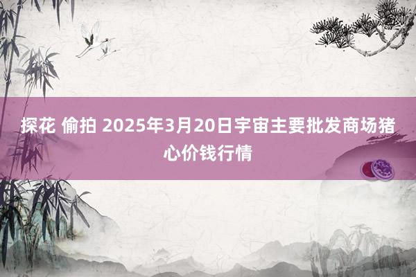 探花 偷拍 2025年3月20日宇宙主要批发商场猪心价钱行情