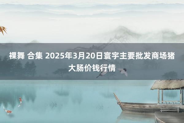 裸舞 合集 2025年3月20日寰宇主要批发商场猪大肠价钱行情