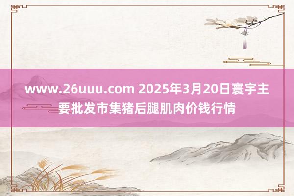 www.26uuu.com 2025年3月20日寰宇主要批发市集猪后腿肌肉价钱行情