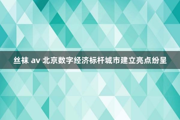 丝袜 av 北京数字经济标杆城市建立亮点纷呈