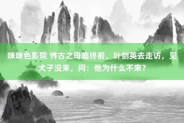 咪咪色影院 博古之母临终前，叶剑英去走访，见犬子没来，问：他为什么不来？