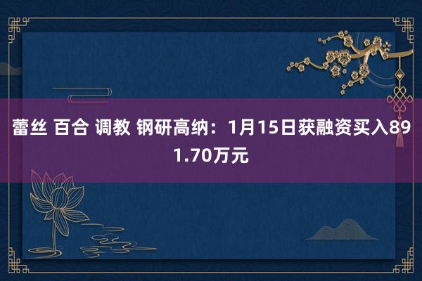 蕾丝 百合 调教 钢研高纳：1月15日获融资买入891.70万元