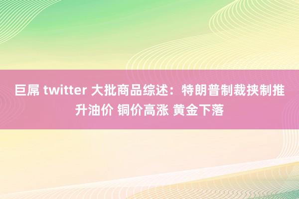 巨屌 twitter 大批商品综述：特朗普制裁挟制推升油价 铜价高涨 黄金下落