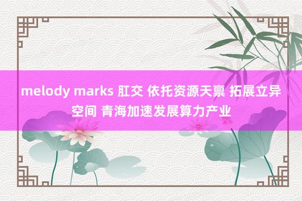 melody marks 肛交 依托资源天禀 拓展立异空间 青海加速发展算力产业