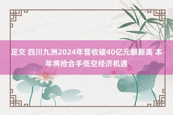 足交 四川九洲2024年营收破40亿元翻新高 本年将抢合手低空经济机遇