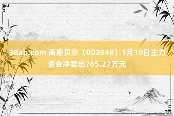 38ab.com 高斯贝尔（002848）1月10日主力资金净卖出765.27万元