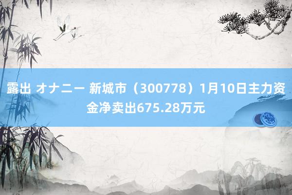 露出 オナニー 新城市（300778）1月10日主力资金净卖出675.28万元