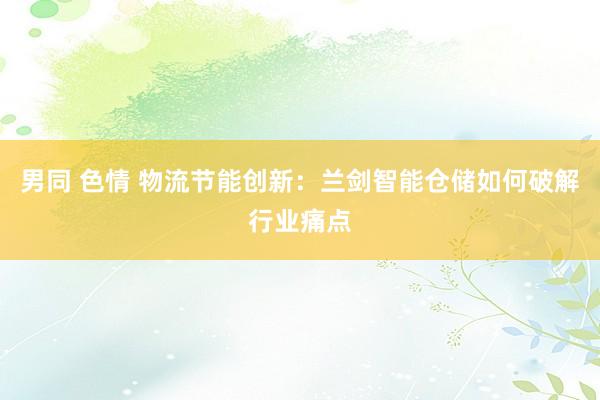 男同 色情 物流节能创新：兰剑智能仓储如何破解行业痛点
