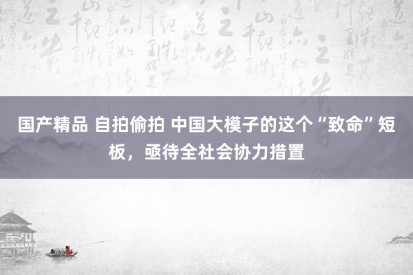 国产精品 自拍偷拍 中国大模子的这个“致命”短板，亟待全社会协力措置