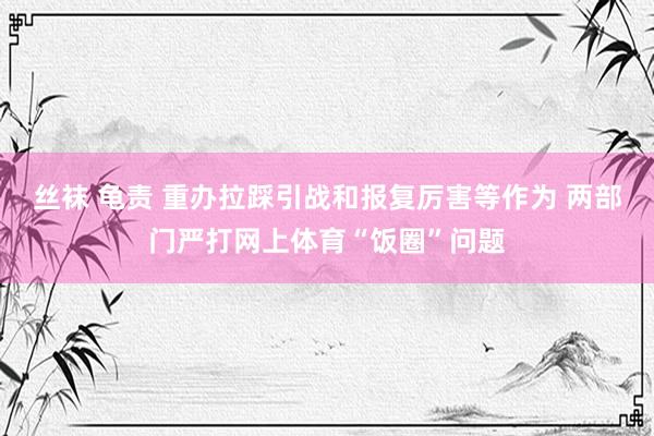 丝袜 龟责 重办拉踩引战和报复厉害等作为 两部门严打网上体育“饭圈”问题