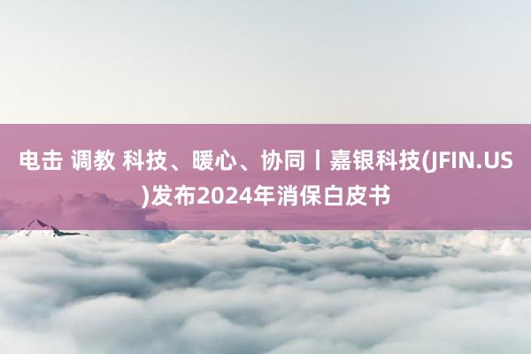 电击 调教 科技、暖心、协同丨嘉银科技(JFIN.US)发布2024年消保白皮书