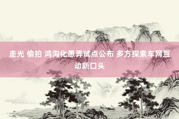 走光 偷拍 鸿沟化愚弄试点公布 多方探索车网互动新口头