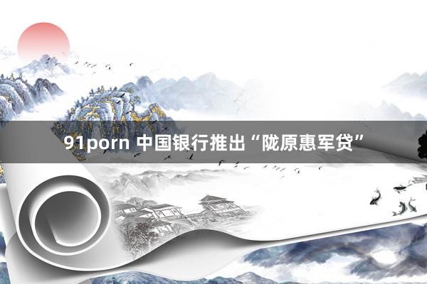 91porn 中国银行推出“陇原惠军贷”