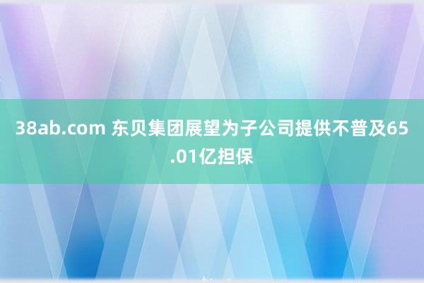 38ab.com 东贝集团展望为子公司提供不普及65.01亿担保
