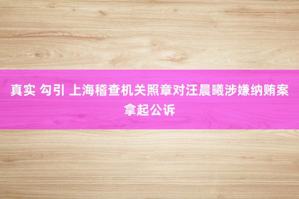 真实 勾引 上海稽查机关照章对汪晨曦涉嫌纳贿案拿起公诉