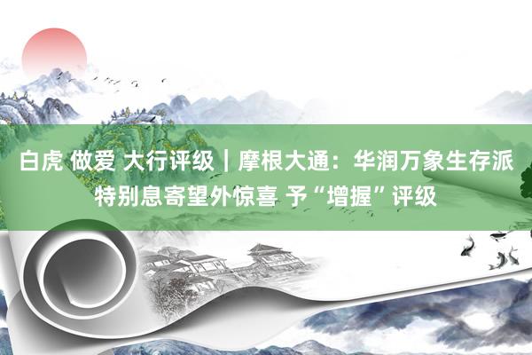 白虎 做爱 大行评级｜摩根大通：华润万象生存派特别息寄望外惊喜 予“增握”评级