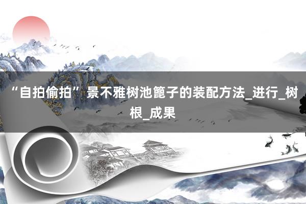 “自拍偷拍” 景不雅树池篦子的装配方法_进行_树根_成果