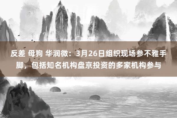 反差 母狗 华润微：3月26日组织现场参不雅手脚，包括知名机构盘京投资的多家机构参与