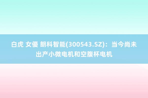 白虎 女優 朗科智能(300543.SZ)：当今尚未出产小微电机和空腹杯电机
