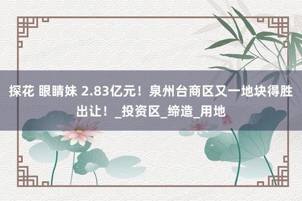 探花 眼睛妹 2.83亿元！泉州台商区又一地块得胜出让！_投资区_缔造_用地