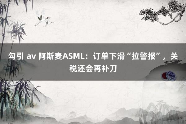 勾引 av 阿斯麦ASML：订单下滑“拉警报”，关税还会再补刀