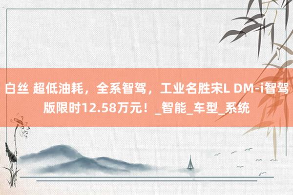 白丝 超低油耗，全系智驾，工业名胜宋L DM-i智驾版限时12.58万元！_智能_车型_系统
