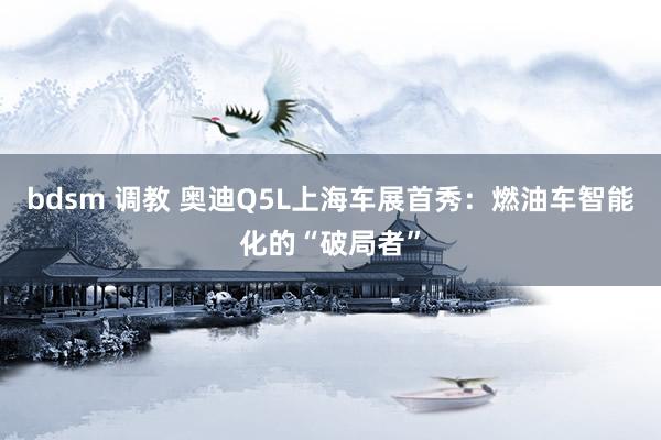 bdsm 调教 奥迪Q5L上海车展首秀：燃油车智能化的“破局者”